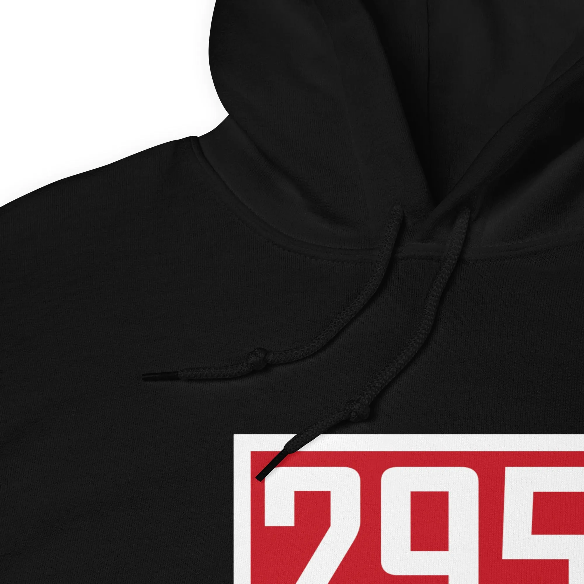 295 Unisex Hoodie